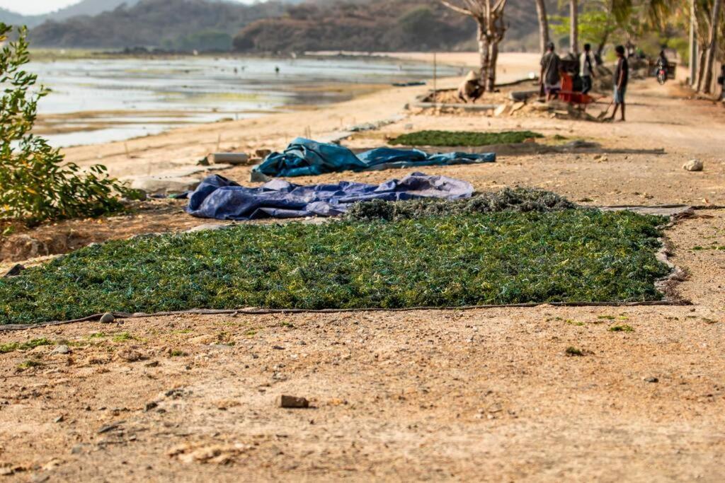 Beach-Front Sumbawa Surf House Lemonga エクステリア 写真