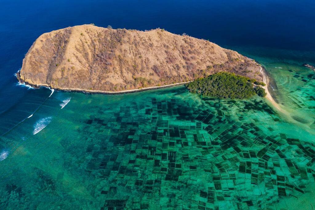 Beach-Front Sumbawa Surf House Lemonga エクステリア 写真